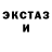 МЕТАДОН кристалл Coach Dodge