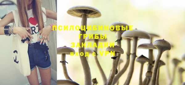 мяу мяу кристалл Богданович