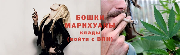 индика Верея
