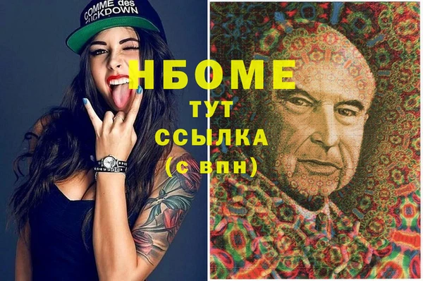 индика Верея
