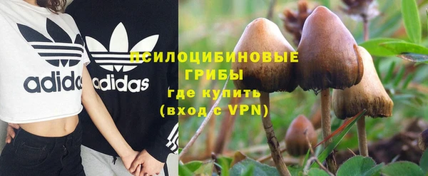 индика Верея