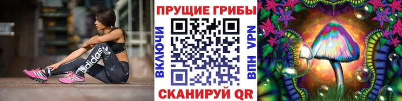 Псилоцибиновые грибы ЛСД  Острогожск 