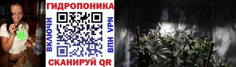 Каннабис индика  как найти наркотики  Острогожск 